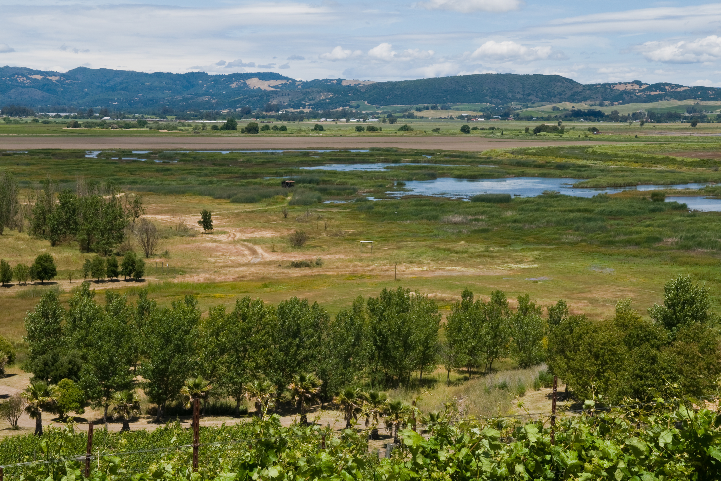 sonoma, california (4).webp
